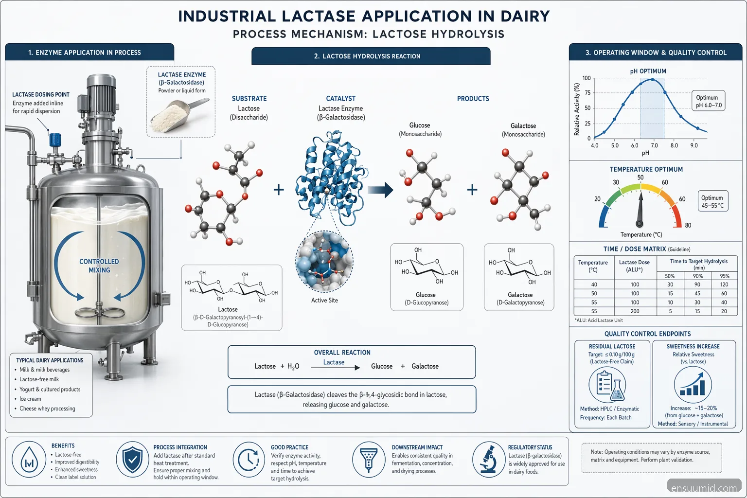industrial enzim laktase dairyの工程図。lactose加水分解、pH-温度条件、QC判定を表示