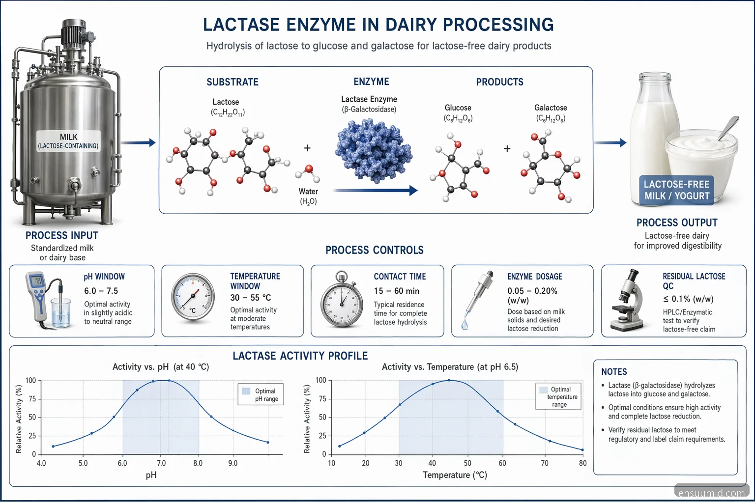 processo de lactase enzyme para dairy sem lactose: hidrólise da lactose em glucose e galactose com controles de pH e temperatura